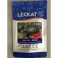 [100g] LECKAT 1096 BENIH TEMBIKAI BOCI TANPA BIJI (SEEDNESS WATERMELON)