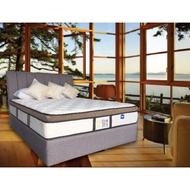 M: Dreamland Chiro Ideal single /super single /Queen /King mattress