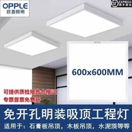 Opm Installed LED Flat Light 600x600 Ceiling Light 300x1200 Gypsum Board Cement Ceiling Ceiling Pane