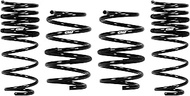 Eibach E10-23-031-01-22 PRO-KIT Performance (Set of 4 Springs)