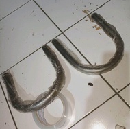 begel u behel u japstyle tekuk dan datar behel u japs pendek tiger scorpio