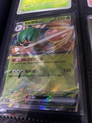 Pokemon Card  中文正版