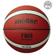 Basketball Size 5 /6 /7 - Molten B5G3800 / B6G3800 / B7G3800 Composite Leather (FIBA)