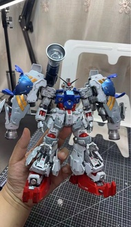 所羅門酸醬果GP02全噴塗分色成品