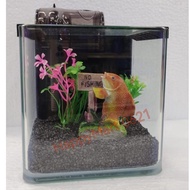 Aquarium Tank Complete  DIY Complete Full Set