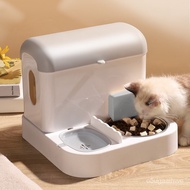 2023New Cat Bowl Dog Bowl Cat Food Holder Automatic Drinking Water Rice Basin Integrated Care Automatic Pet Feeder Pet S
