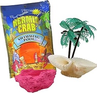 DIY Terrarium Hermit Crab Habitat Kit with Palm Tree Feeder and Swimming Pool, Bulk Reptile Starter Pack, 2 Items