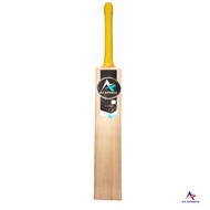 A3 Sports 20Twenty English Willow Bat
