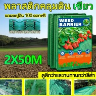 (แถมตะปูดิน 100 ดอกฟรี)เขียว 3x50m.2x50m.2x100m.1x100m.1x50m ผ้ากันวัชพืช ผ้ากำจัดวัชพืช ระบายอากาศแ