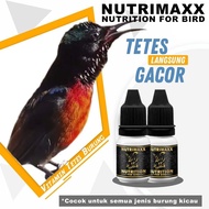NUTRIMAXX | Vitamin penggacor burung kolibri konin sogon kowul kolibri wulung