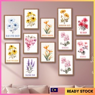 Watercolor Plant Flower Start With B Meaning (Part 1) Poster Botanical Wall Art Floral Room Cute