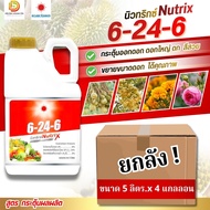 (ยกลัง5L*4) ปุ๋ยน้ำ 6-24-6 (แกลลอน 5 ลิตร) สูตรไม้ดอก บำรุงดอก (1ลังมี4แกลอน) #ดวงตะวันเพชร