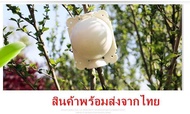 ตุ้มตอนกิ่ง(เกรดA) ตุ้มตอนพลาสติก ลูกบอลตอนกิ่ง ขยายพันธุ์พืช ตอนกิ่ง ตอนต้นไม้ ตอนกิ่งไม้ *ขนาด 5ซม-12ซม.*