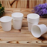 Disposable Paper Cup White 6oz 9oz (20pcs) Party Supplies