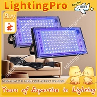 【LightingPro】 [READY STOCK] UV Floodlight, Effect Light 120 Glow UV Lamp, Creative 395nm 50W/100W UV