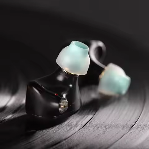 WHIZZER ET100AB Antibacterial silicone ear tips Balanced sound signature Intimate soundstage 3 pairs