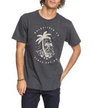 Quiksilver【L】Since Day One 短袖T恤 AQYZT05445 全新 現貨