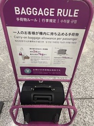 新秀麗手提行李箱