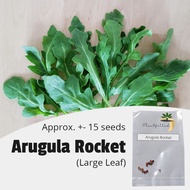 [Plantfilled] Large Leaf Arugula Rocket Seeds for planting| Vegetable | Approx. 15 Seeds