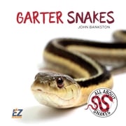 Garter Snakes John Bankston