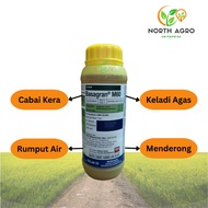 Basagran M60 | Racun Rumput Keladi Agas & Rumput Air | Bentazone & MCPA  | Untuk Padi, Kacang, Jagun
