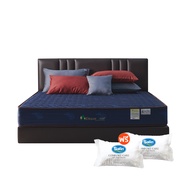 Dream Tree ที่นอนสปริงเสริมฟองน้ำ นุ่ม เด้ง หนา 9 นิ้ว รุ่น Peony (สีน้ำเงิน) [แถมฟรี! หมอนหนุน]