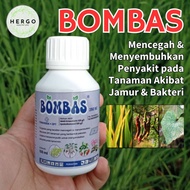 BOMBAS Effective Fungicide to Eliminate Fungal and Bacterial Diseases in Plants
