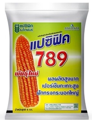 เมล็ดพันธุ์ ข้าวโพด เลี้ยงสัตว์ 789แปซิฟิก บรรจุ 10 กก. ฟักสีส้มสวยมาก ไก่ชน เป็ด ไก่ชอบ