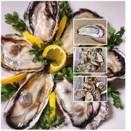 Frozen Japanese Hyogo Oyster sashimi Grade 10pcs ( L )