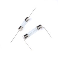 With Pin Glass Fuse Tube 5 * 20 6 * 30 Fuse 250V 1 2 3A 4 5A 10A 20A