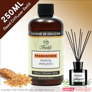 Biolife Frankincense Essential Oil Aromatherapy Reed Diffuser Refill, Long Lasting Scent (250ml Reed-Diffuser Refill)