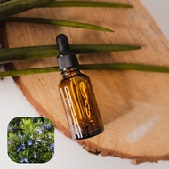 【香間小路】天然精油 迷迭香精油 Rosemary ( 贈送甜橙精油 )