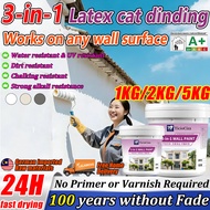 [24 hours delivery] cat dinding luar rumah 1000ml formaldehyde wall paint cat dinding rumah cat dind