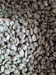Green Bean Arabika Bali Kintamani Full Wash G1