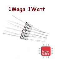 R resistor 1w 1Watt 1M 1 megaOhm 1 mega Ohm 1 watt toleransi 5% 1Mega
