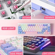 [Good] ZIFRIEND Hyacinth 68 keys wired mechanical keyboard RGB hotswap