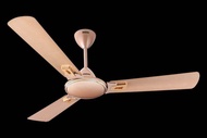 USHA Striker Galaxy 1200mm Energy Saving High Speed Scratch & Dust Resistant Decorative Ceiling Fan 