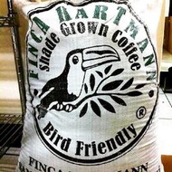 咖啡生豆 哈特曼莊園 聖塔克拉拉產區 象豆種 巴拿馬 日曬   樂吉波咖啡工務所 每單限重4公斤