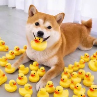 PETBLOX 🐕🐈 [4pcs] Mainan Itik  Rubber Duck Family Set Pets Squeaky Floating Toys for Dogs & Cats Ind