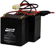 Razor Crazy Cart Rechargeable 1 Set High Performance Replacement Batteries + Wiring Harness Beiter D