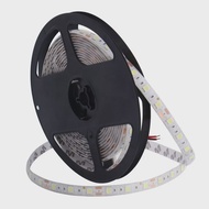 Led Strip Roll 5M 5050 IP44 12Volt Led Strip Mata Besar Waterproof