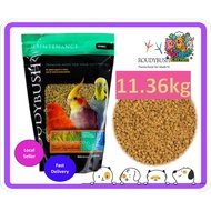 Roudybush Maintenance Crumble 11.36kg for Parrot Bird Feed