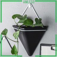 [Amleso] Triangle Wall Planter Succulent Flower Pot Home Decor for Flower Succulent