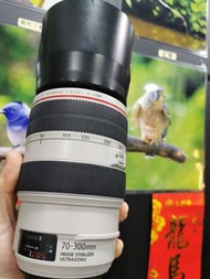 canon EF 70-300mm L IS USM