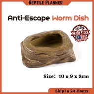 Anti-escape Worm Dish Reptile Food Bowl Advanced Resin Made Anti-Worm Escape (爬虫喂食盆)