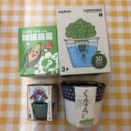 *退坑* 盆栽植物紅葉黑松種植盲盒水培種植生菜