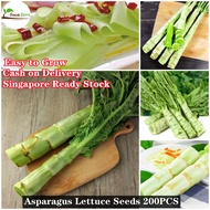 SG 100% Original Asparagus Lettuce Seeds 200cs Vegetable Seeds for Planting Home Kitchen Balcony Gar