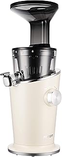 Hurom H100S White Slow Juicer Cold Press Fruits &amp; Vegetables Slow Juicer (Juice Extractor)