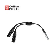 Nanlite CB-DMX-ACP-1/2 Locking DMX Adapter Cable