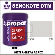 Cat Seng & Galvanis Anti Karat Propan Sengkote 1KG / PROPAN